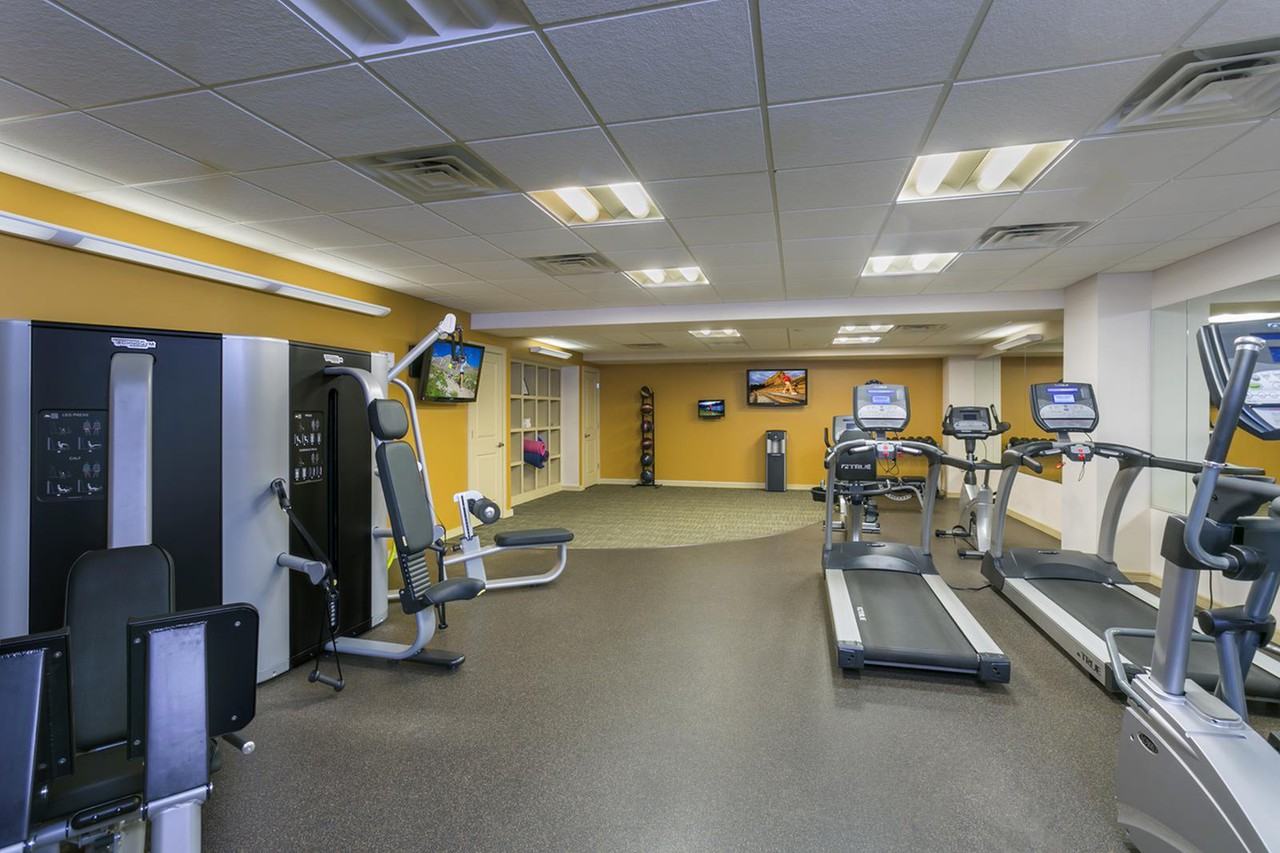 Solera - Photo 2 of 42