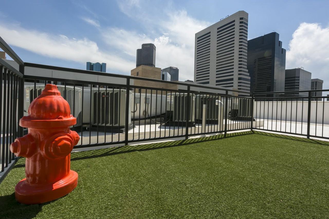 Solera - Photo 7 of 42