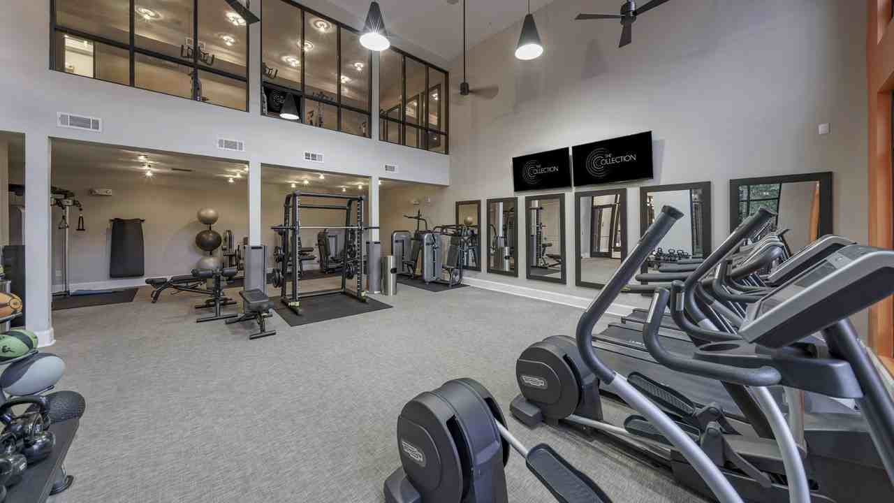 The Collection - Photo 3 of 50