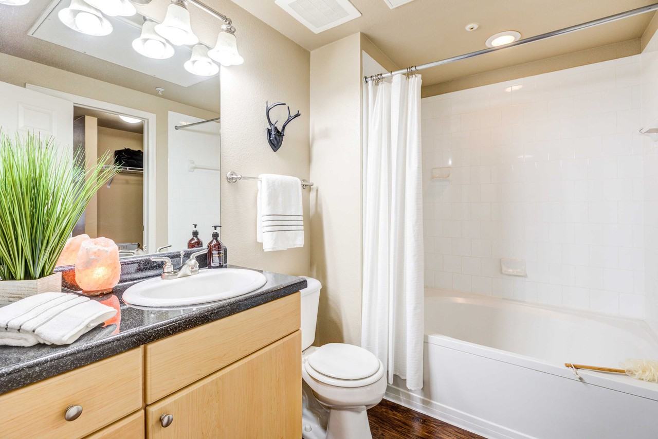 IMT At City Park - Photo 4 of 28