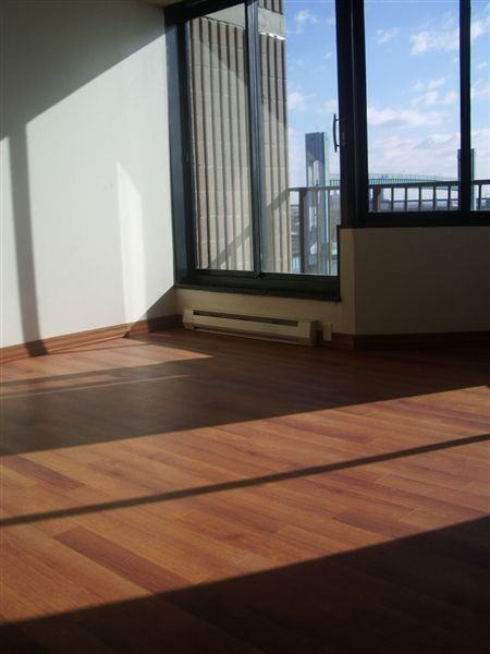 Roosevelt Island and Harlem - Photo 3 of 3