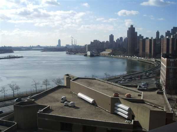 Roosevelt Island and Harlem Apartments in New York, NY Zumper