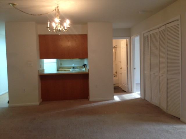 11920 Liberty Road #208A - Photo 3 of 17