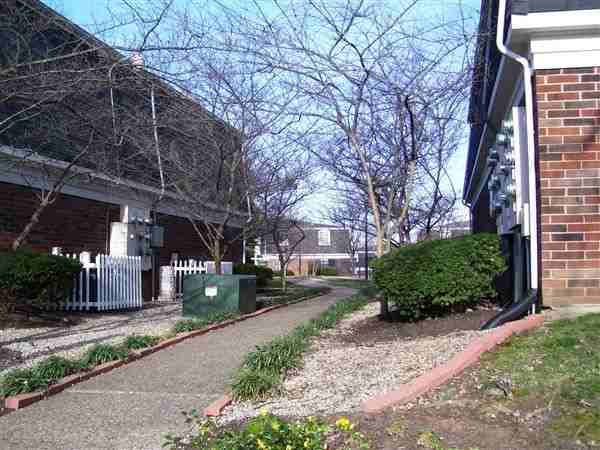 McArthur Park - Photo 2 of 6