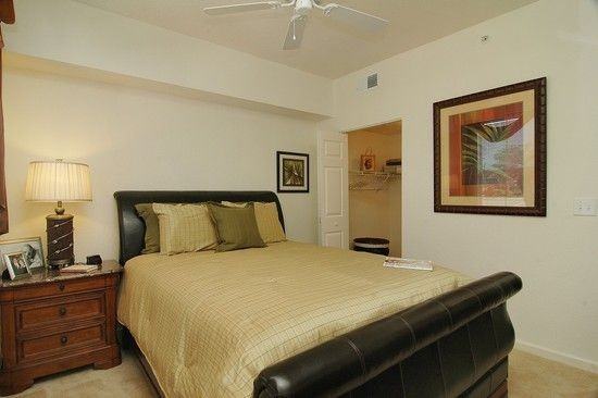 Royal Palm terrace - Photo 2 of 13