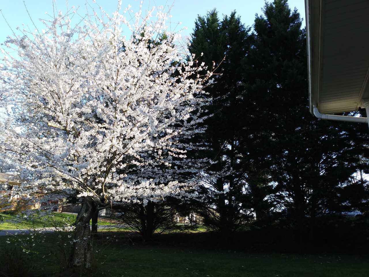 9447 Thrasher Trail - Photo 2 of 53