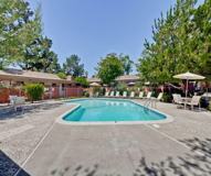 924 Mangrove Ave - Photo 1 of 1