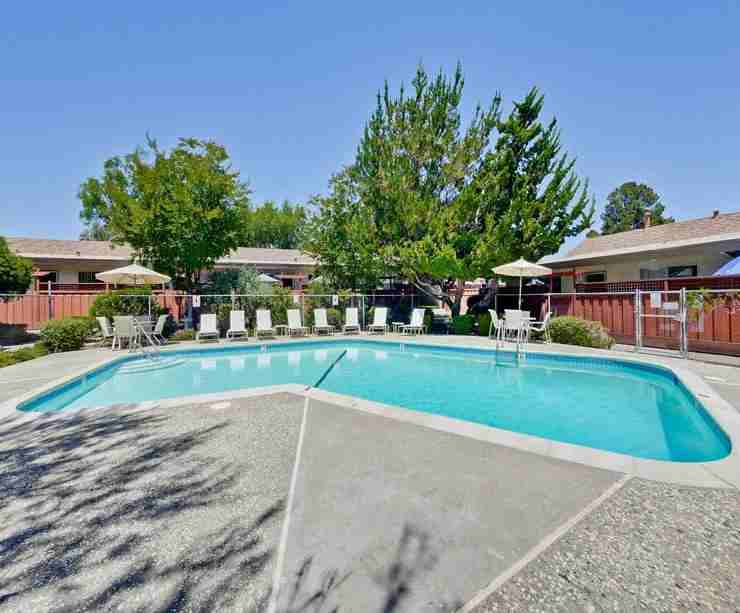 924 Mangrove Ave - Photo 4 of 10