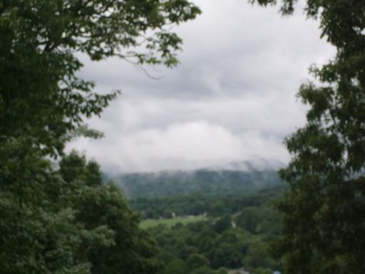 170 Boyd Cove Rd - Photo 3 of 15