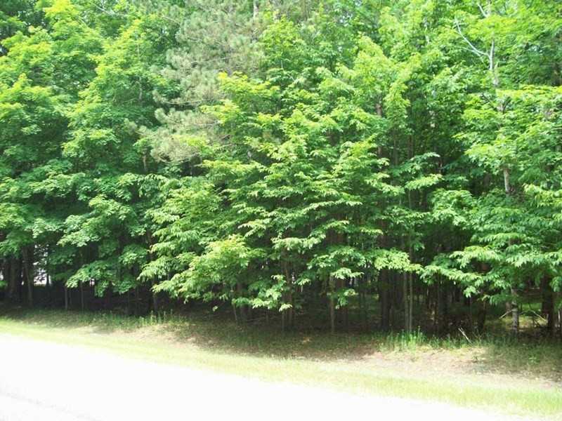 6643 Pebble Beach Dr - Photo 3 of 3