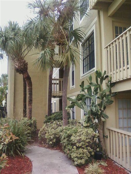 Terrace Pointe Apartment Homes Apartments 11305 N 51st St, Tampa, FL