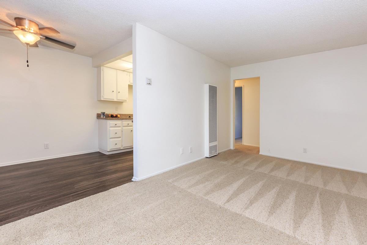 230 East Chapman Avenue - Photo 3 of 6