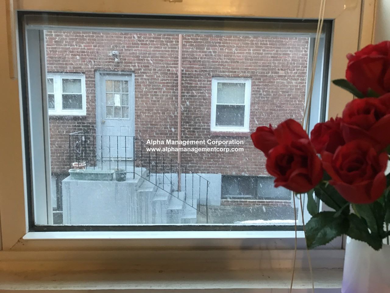 6 President Ter #2 - Photo 5 of 12