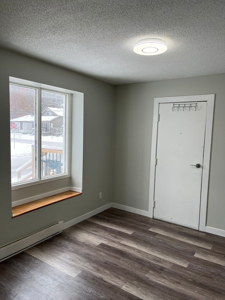 211 Clarence Street - Photo 3 of 14