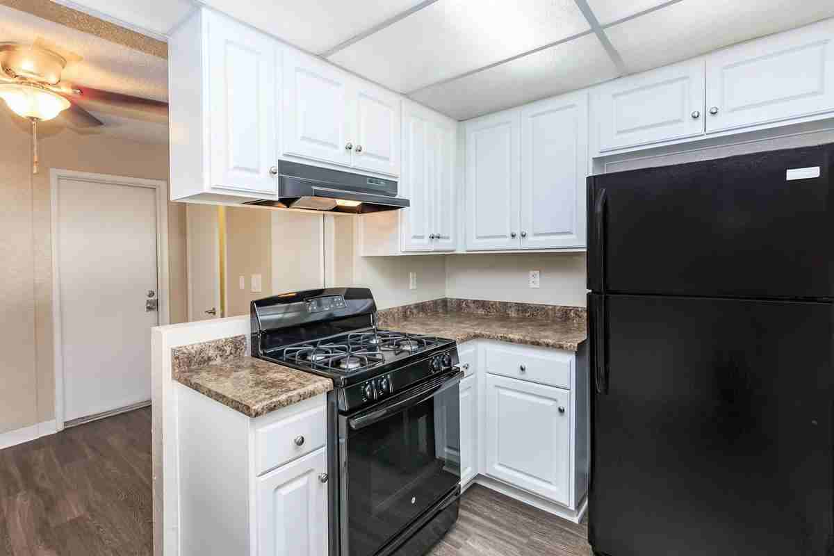 266 Backs Ln - Photo 5 of 12