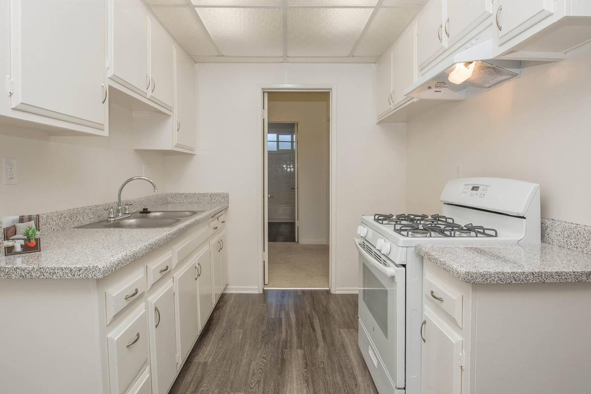 1301 Las Riendas Drive - Photo 3 of 9