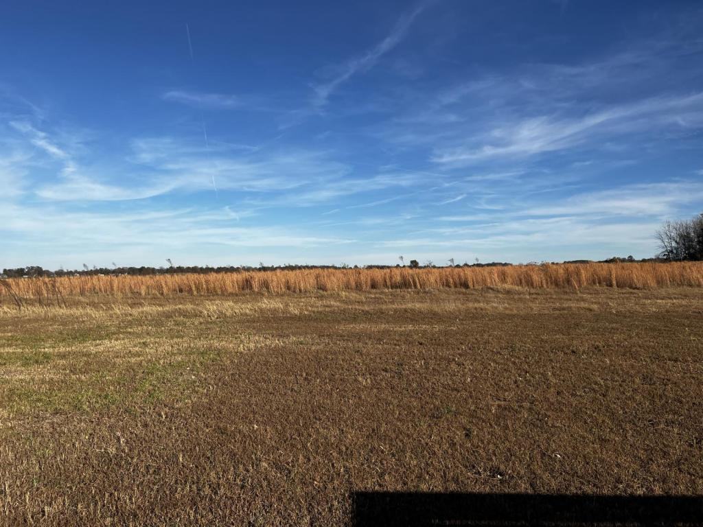 2709 S Market St - Photo 3 of 17