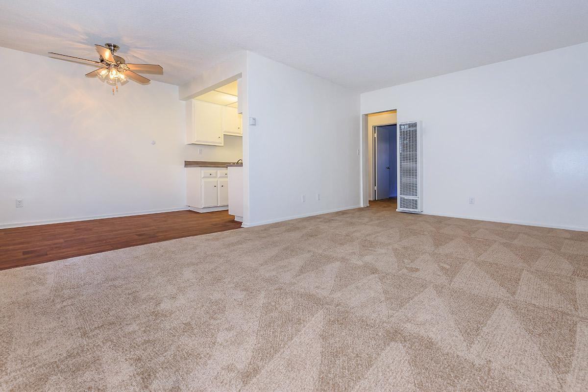 7085 Santa Irene Cir - Photo 2 of 9