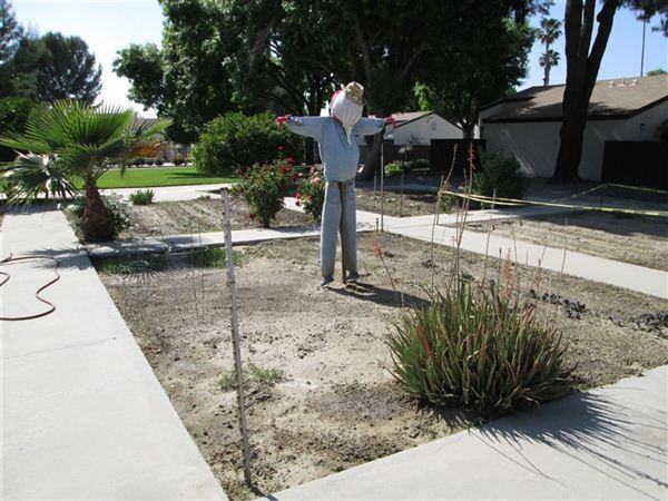 Villa Hemet - Photo 2 of 7