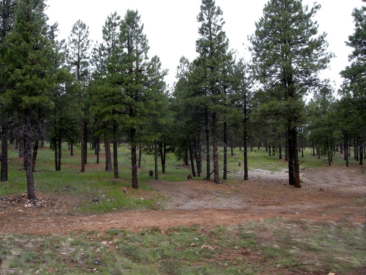 3241 S Sonoma St - Photo 3 of 10