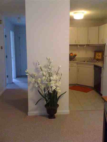 Morse Rental Properties - Photo 3 of 4