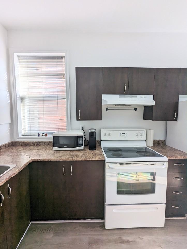 5144G Av Papineau - Photo 3 of 18