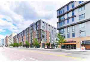 411 D St #S1 - Photo 1 of 1