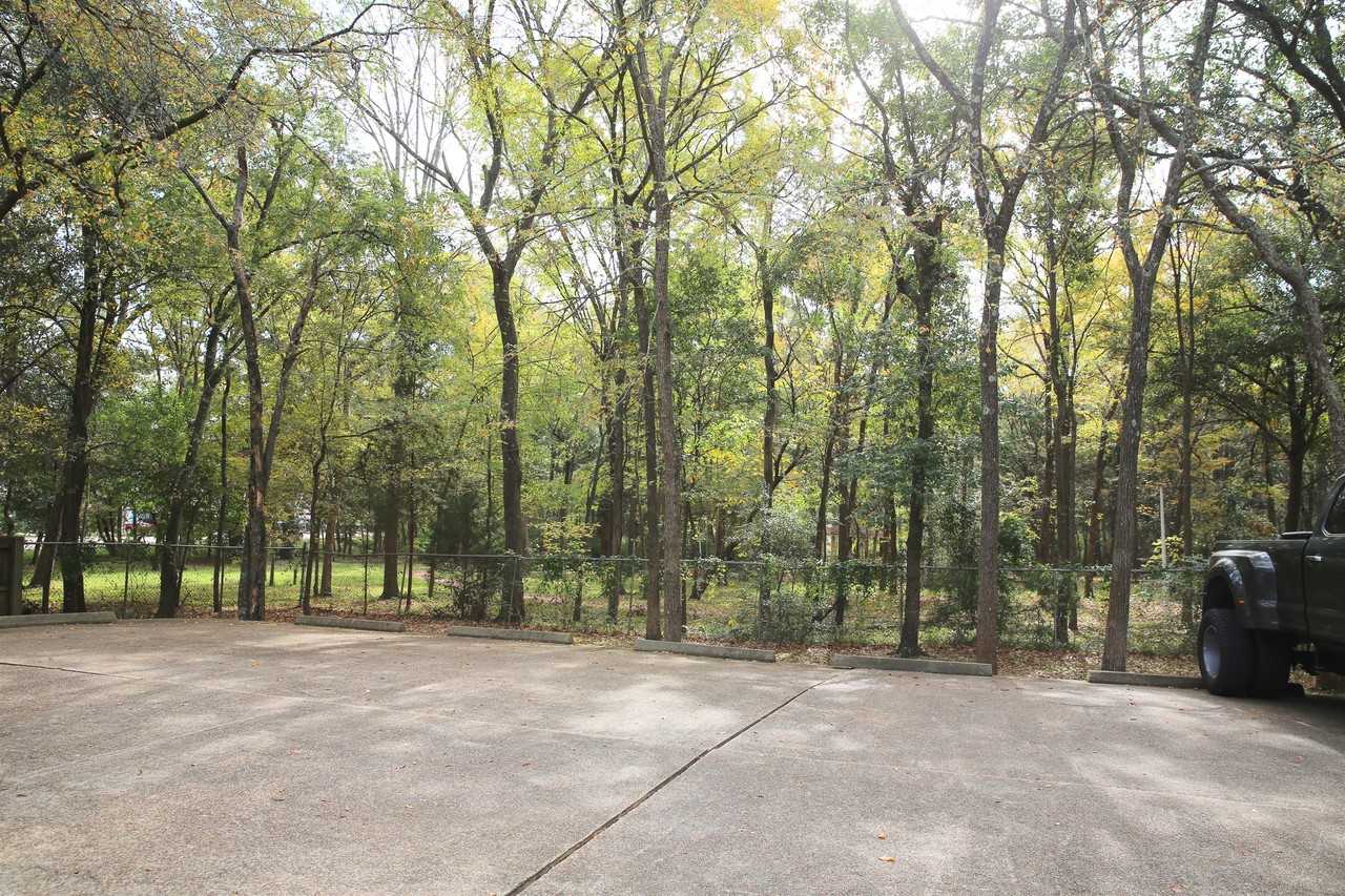 411 Hickory St #411UNIT7 - Photo 4 of 11