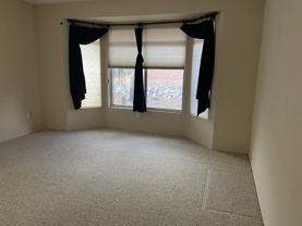 14155 N Ageratum Way - Photo 1 of 1