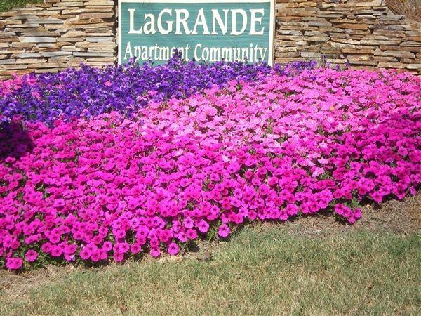 Lagrande Apartments - Photo 2 of 6