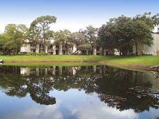 Shadow Oaks Apartment - Photo 3 of 10