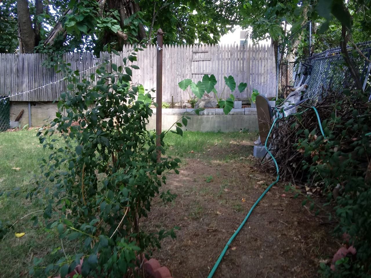 71 Felix Street #3 - Photo 5 of 5