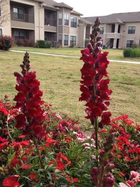 Sunchase Square - Photo 3 of 10