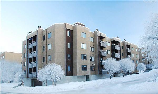 Cordova Square Condos Apartments 380 E 11th Ave, Anchorage, AK 99501