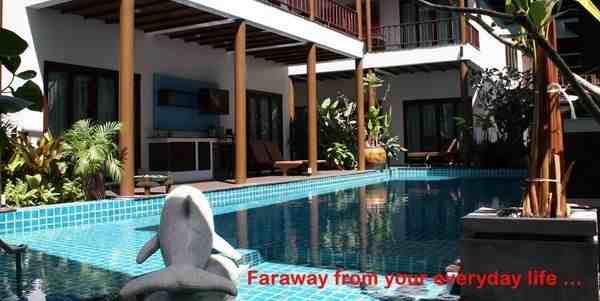 aphis - Photo 3 of 9