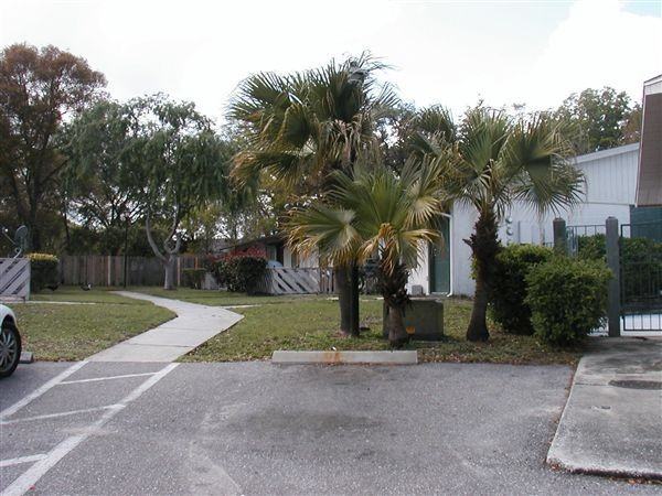 Channelview Condominiums Apartments N Dale Mabry Hwy, Tampa, FL 33614