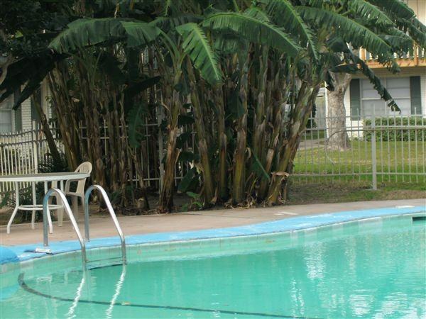 Everhart Place - Photo 3 of 4