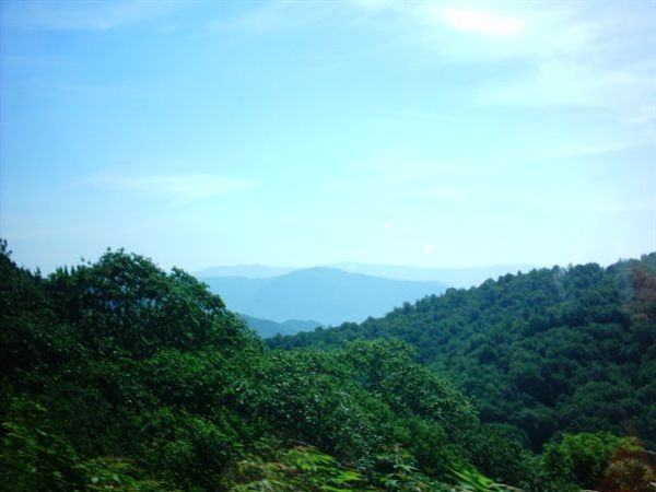 Covered Bridges in the Glades - Photo 3 of 8