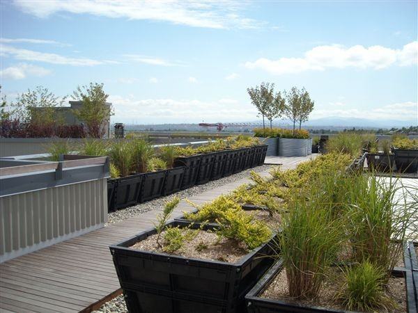 Altamira Apartments 4540 42nd Ave SW, Seattle, WA 98116 Zumper