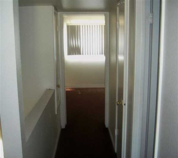 Palm Oasis - Photo 2 of 10