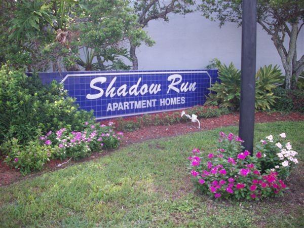 Shadow Run - Photo 3 of 7