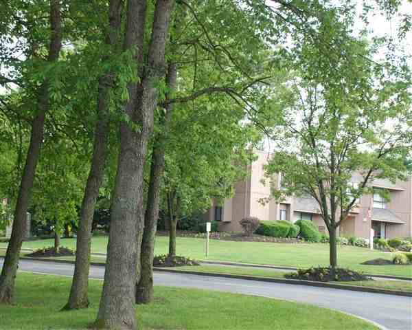 Stonington Court Apartments 1800 Laurel Rd, Lindenwold, NJ 08021 Zumper