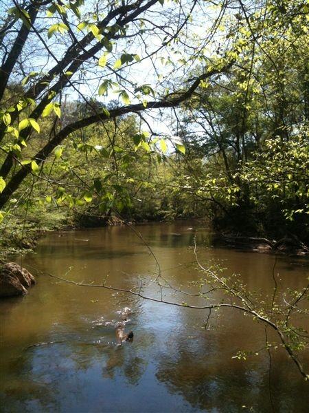 Cascades On The River - Photo 3 of 5