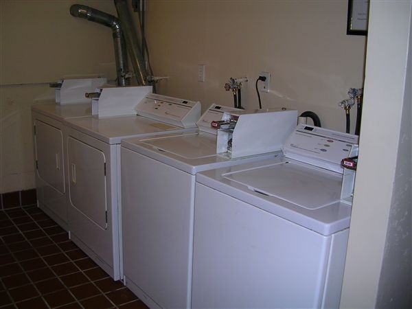 Tarpis Woods - Photo 2 of 5