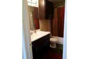 Oak Forest - Photo 3 of 24