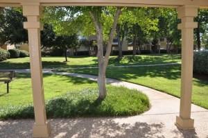 Oak Forest - Photo 2 of 24