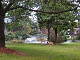 Auburn Ridge Townhomes - Photo 2 of 10