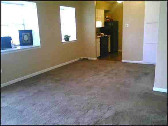 3001 Jane Lane - Photo 2 of 9