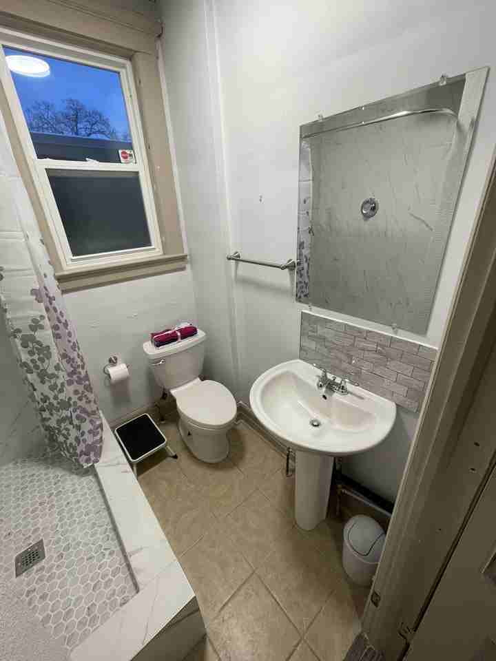 1319 Ouellette Avenue - Photo 4 of 18