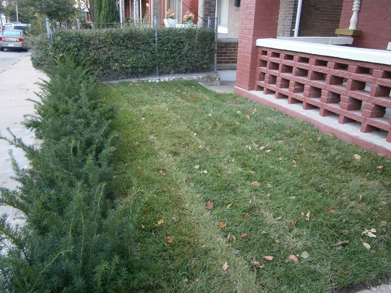 420 Olive St - Photo 2 of 35